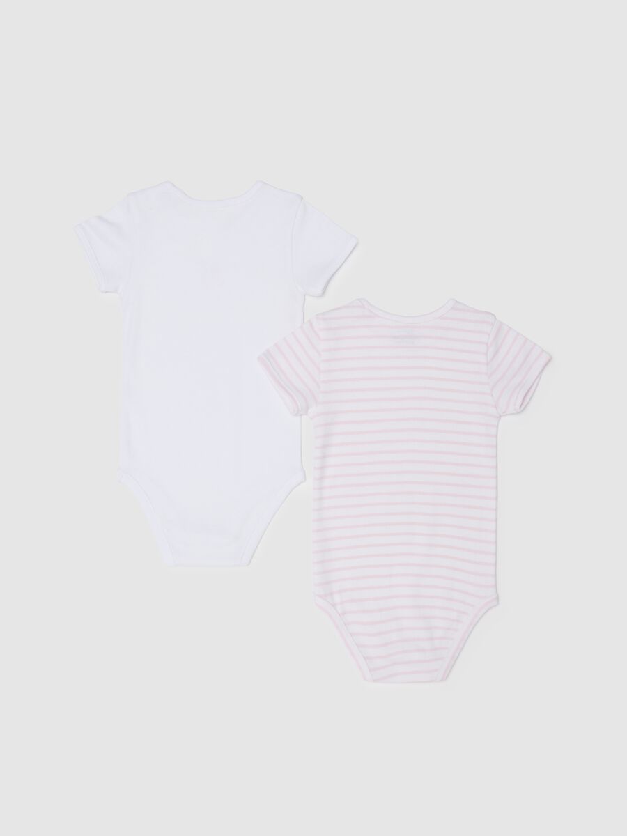 Multicoloured girl's pure cotton bodysuit twin pack_1