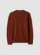 Brown crew-neck jersey knit jumper, regular fit_2