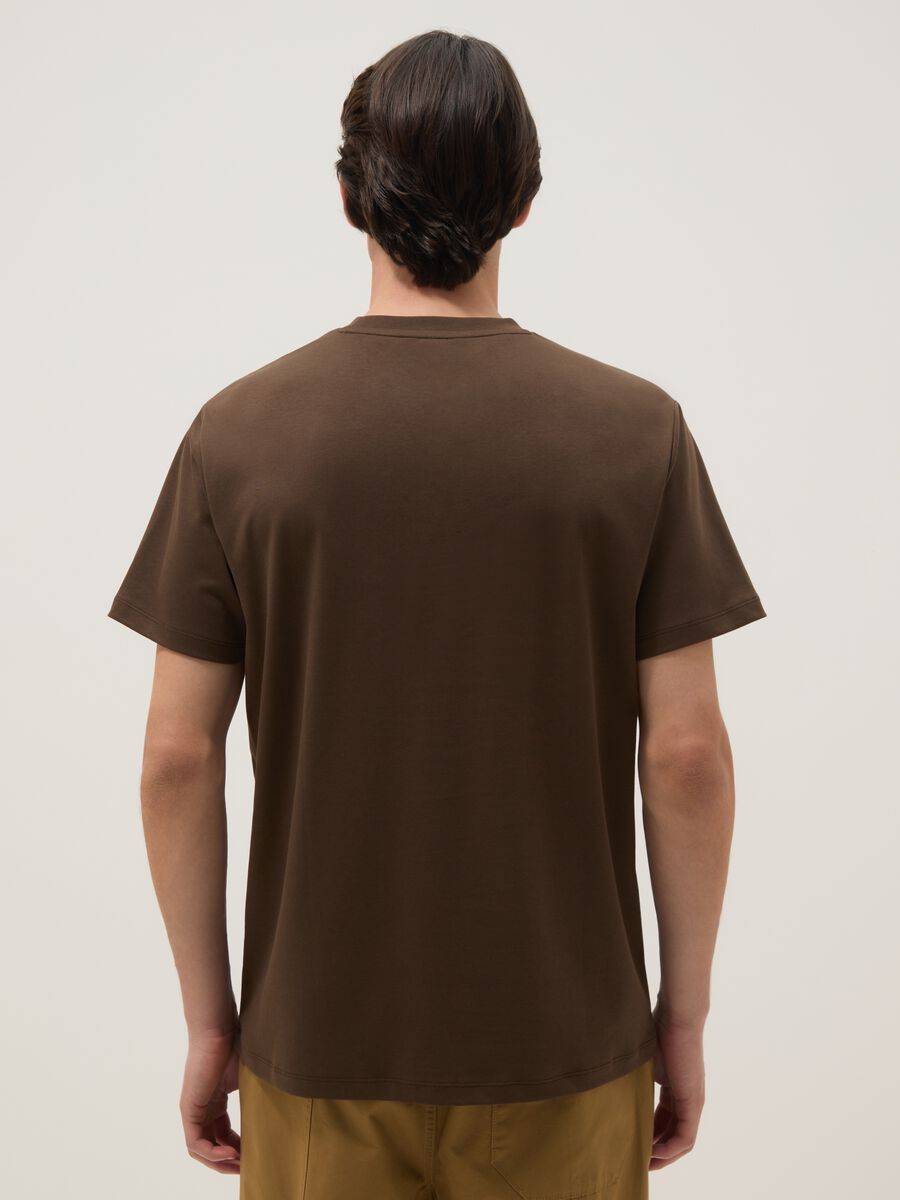 Brown regular fit crew neck T-shirt in pure cotton_2