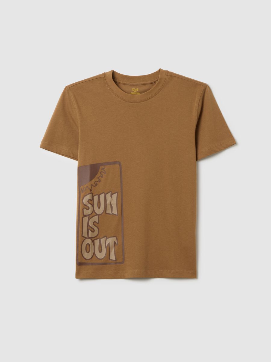Boys' brown pure cotton regular fit T-shirt_0