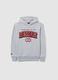 Grey regular fit children's cotton blend hoodie_3