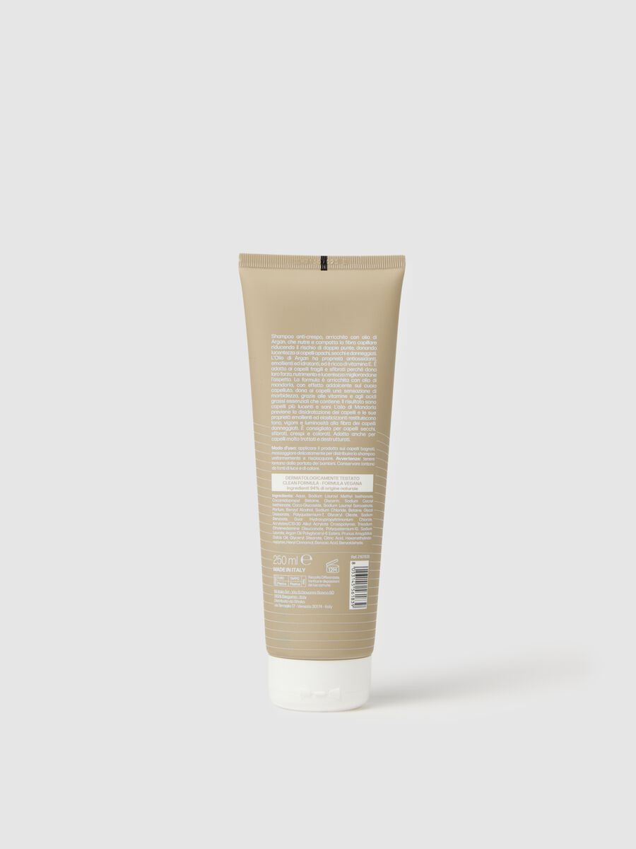 Anti-Frizz Shampoo_1