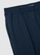 Regular Fit Blue Trousers_5