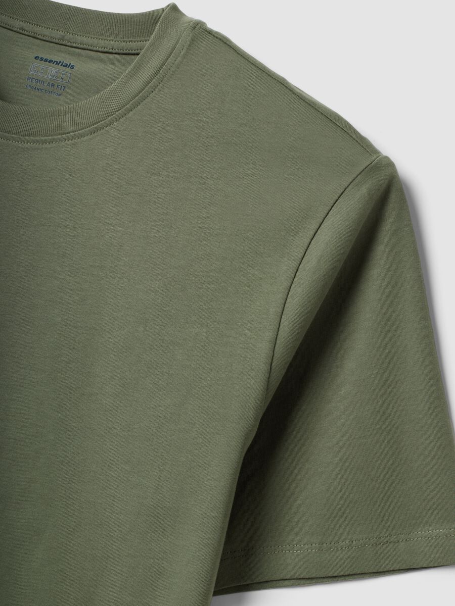 T-shirt verde in puro cotone organico jersey regular fit_2