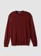 Brick red crew-neck viscose-blend jumper, regular fit_0