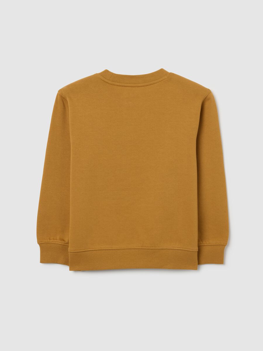 Children's brown regular fit pure cotton sweatshirt_1