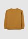 Children's brown regular fit pure cotton sweatshirt_1