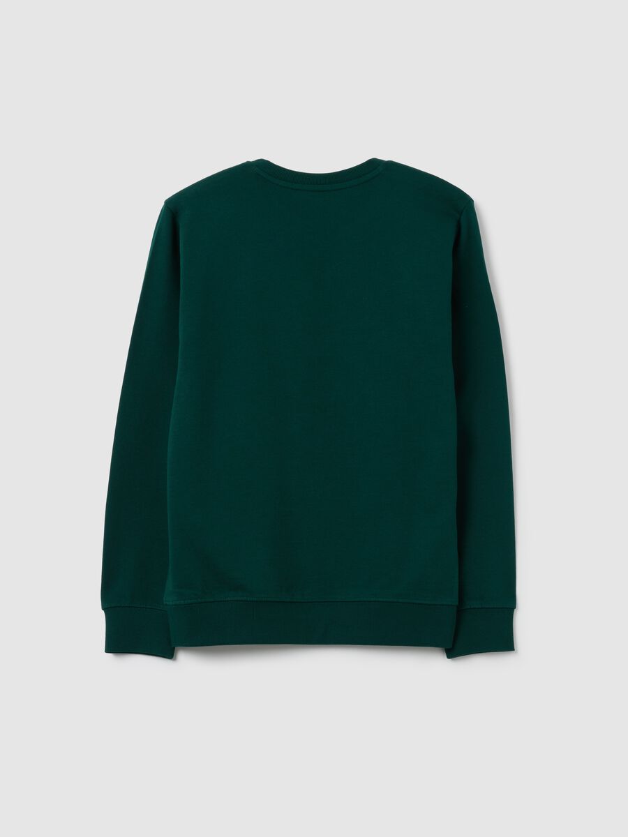 Felpa da ragazzo in puro cotone verde_1