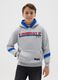 Children's grey cotton blend hoodie regular fit_0