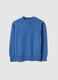 Children's Regular Fit Blue Cotton Crew Neck Jumper_0