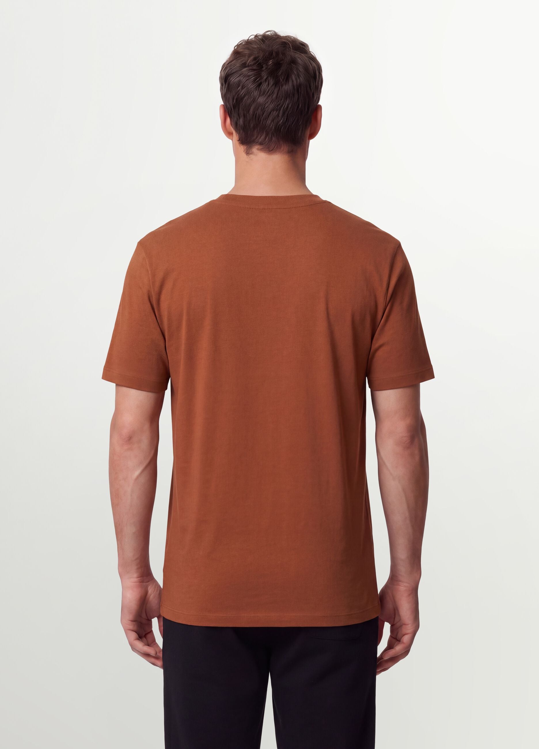Brown regular-fit T-shirt in pure organic cotton jersey
