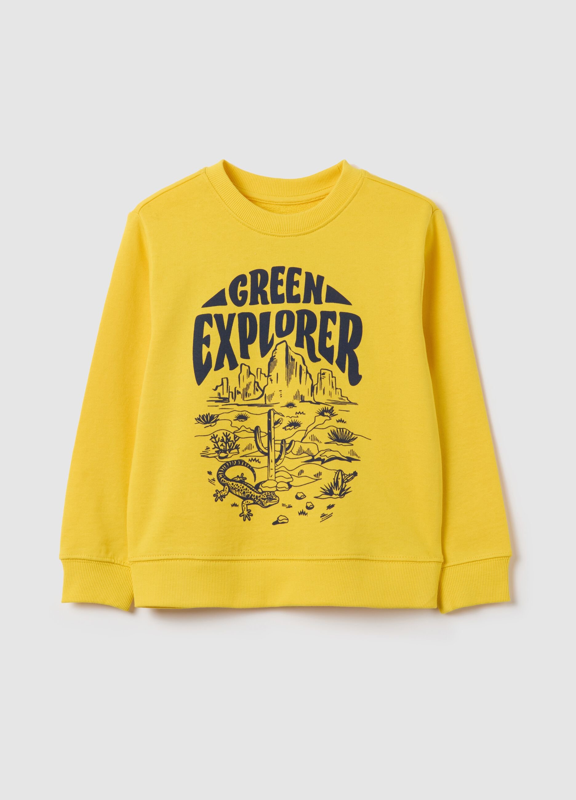 French terry sweatshirt with print