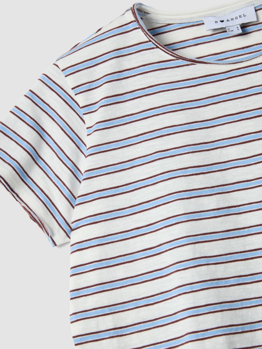 Regular-fit multicolour striped pure cotton short-sleeve T-shirt_5