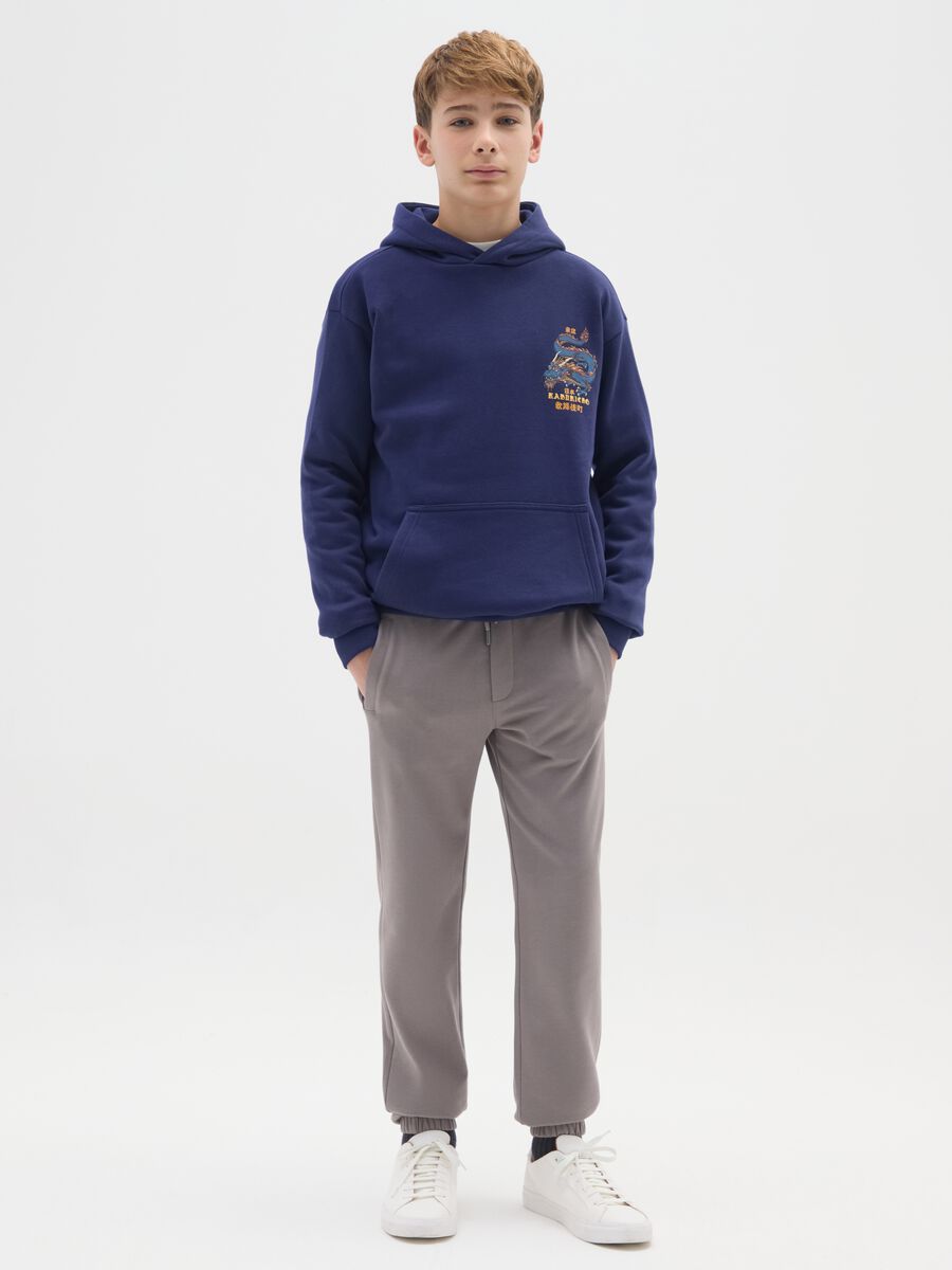 Boys' grey regular fit jogger trousers in pure cotton_0