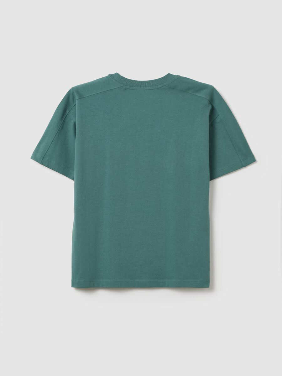 T-shirt da ragazzo in puro cotone verde regular fit con scollo rotondo_4
