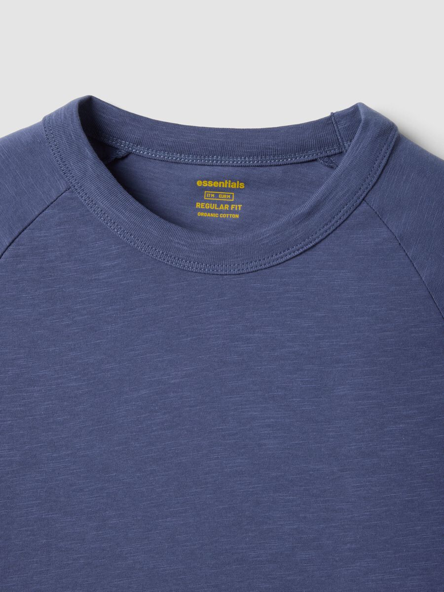 Regular fit blue pure cotton T-shirt_5