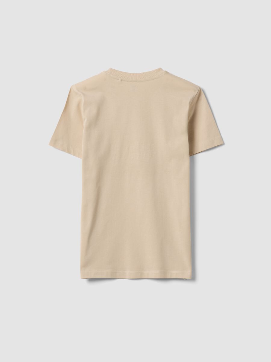 Beige pure cotton regular-fit boys&rsquo; T-shirt with prints_1