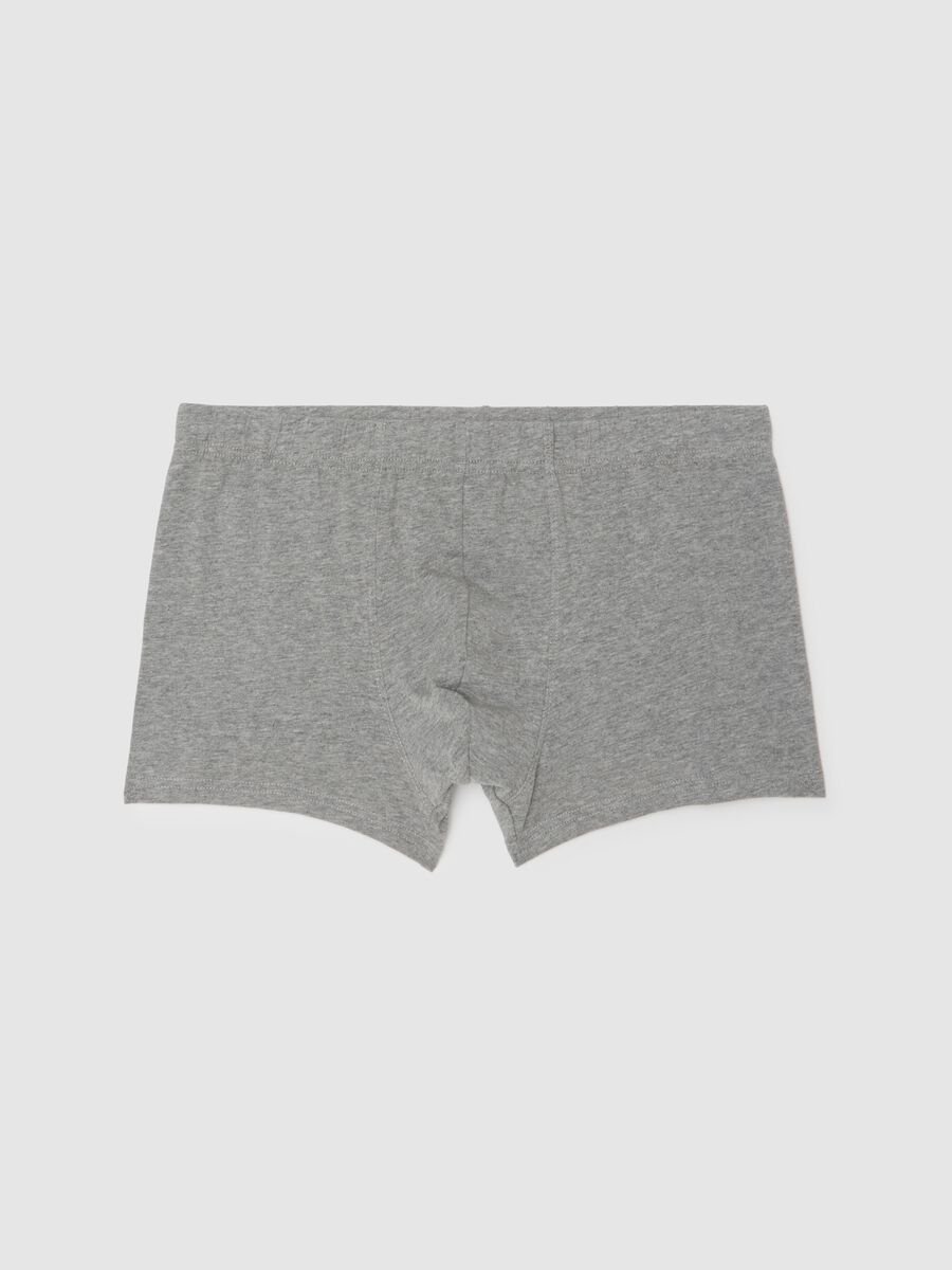 Grey Cotton Regular Fit Boxers_4