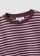 Purple striped pure cotton relaxed-fit crew-neck T-shirt_5