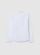 Boys' Pure Cotton White Regular Fit Shirt_4