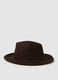 Brown Fedora Hat_0