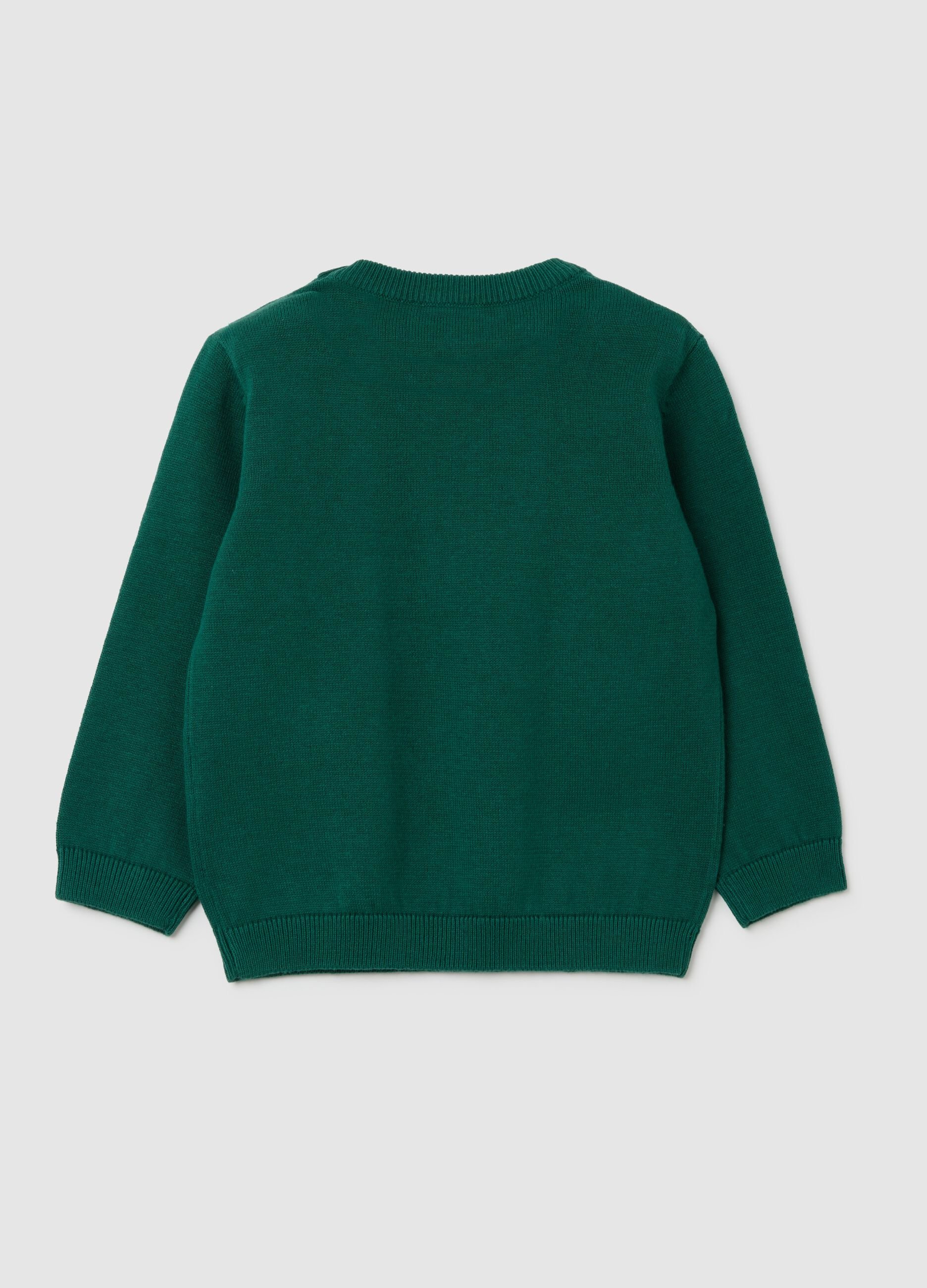 Child's Green Cotton Jumper Regular Fit