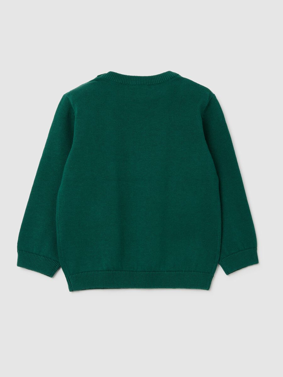 Child's Green Cotton Jumper Regular Fit_1