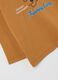 Brown pure cotton children's t-shirt with bear_2