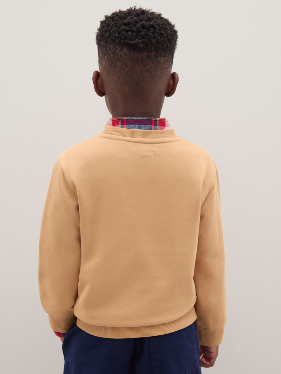 Beige Regular Fit Cotton Blend Kids Sweatshirt_2