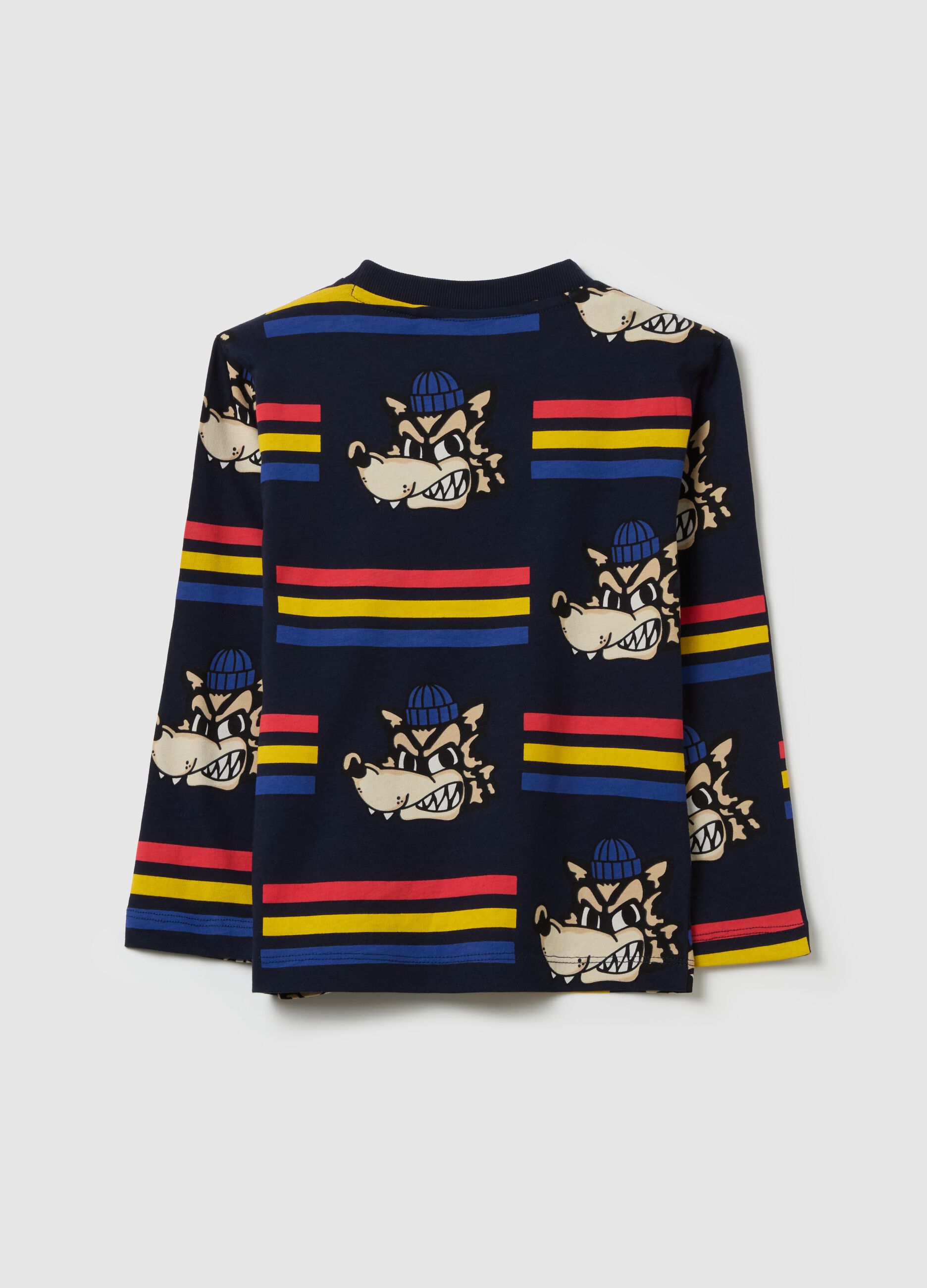 Long-sleeved T-shirt in cotton with print