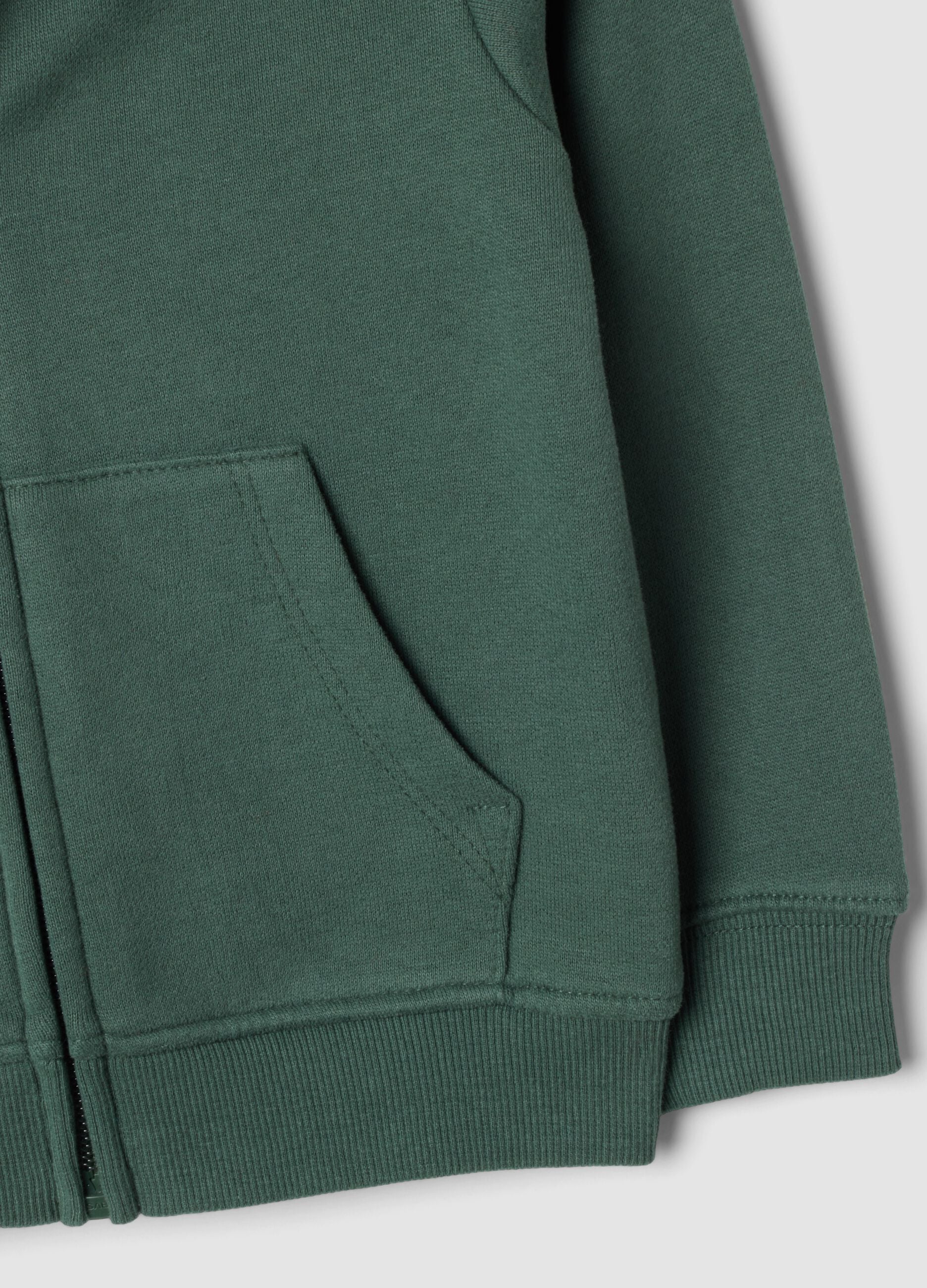 Felpa verde con cappuccio in puro cotone organico regular fit