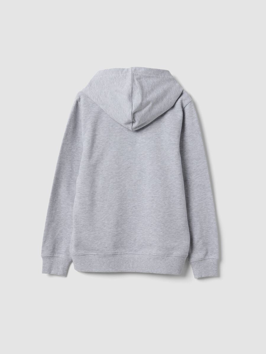 Felpa grigia con cappuccio in puro cotone organico regular fit per ragazzo_6