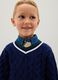 Children's blue pure cotton regular fit jumper_2
