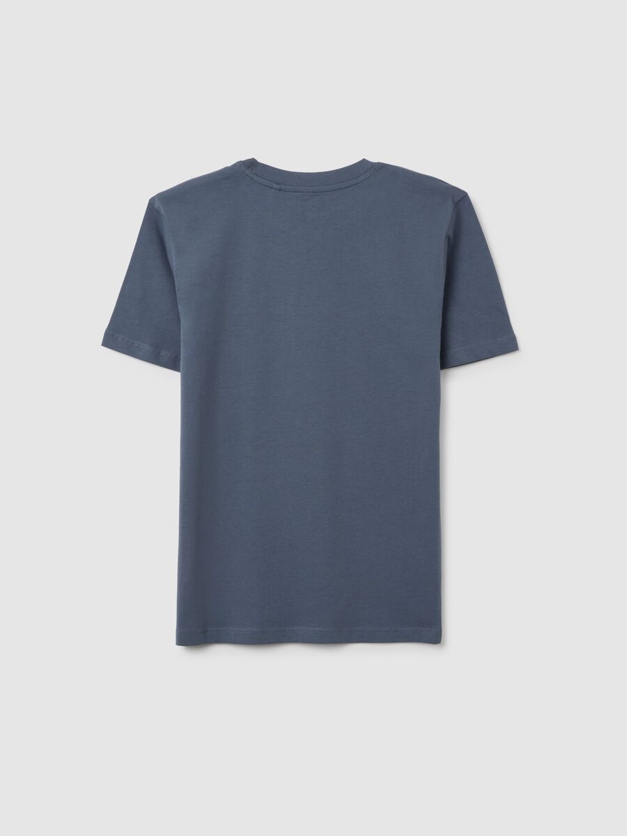 Boys' Blue Cotton Regular Fit T-shirt_4