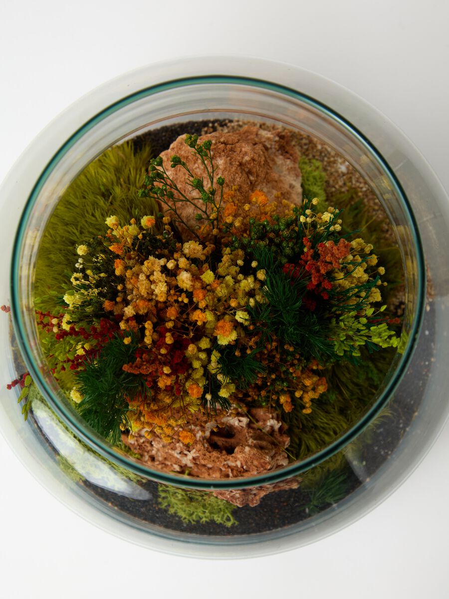 Evergreen Gigi Terrarium_2