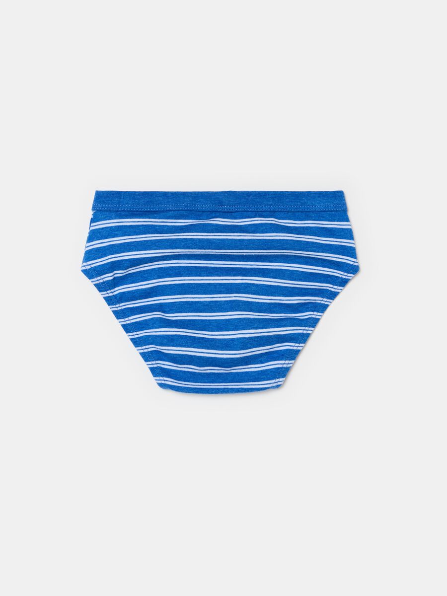 Organic cotton briefs with striped pattern_1