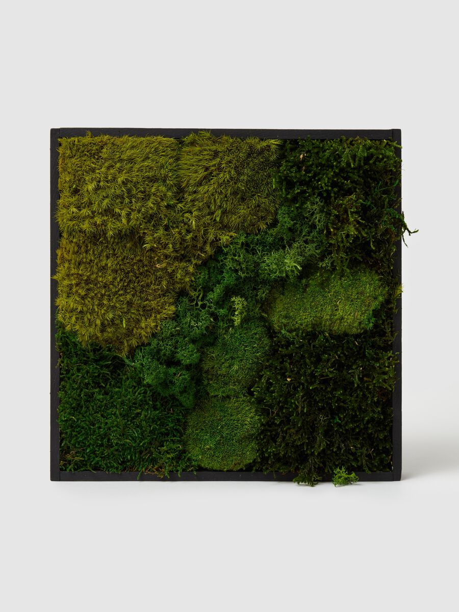 Frame 30 Evergreen Vertical Garden_1