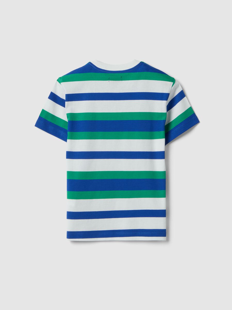 Boys&rsquo; pure cotton multicolour striped T-shirt, regular fit_4