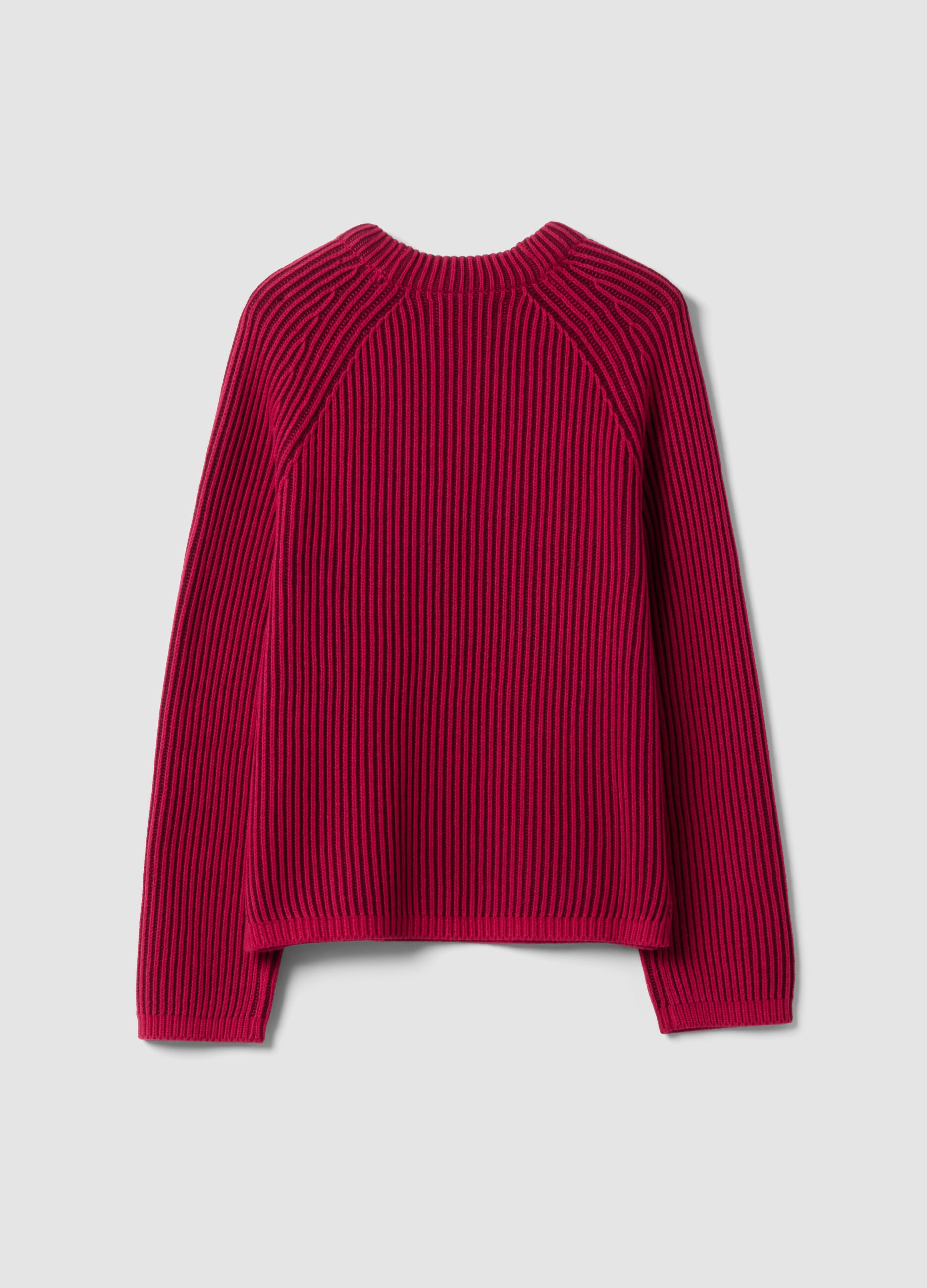 Multicolour pure cotton ribbed crew-neck jumper, regular fit