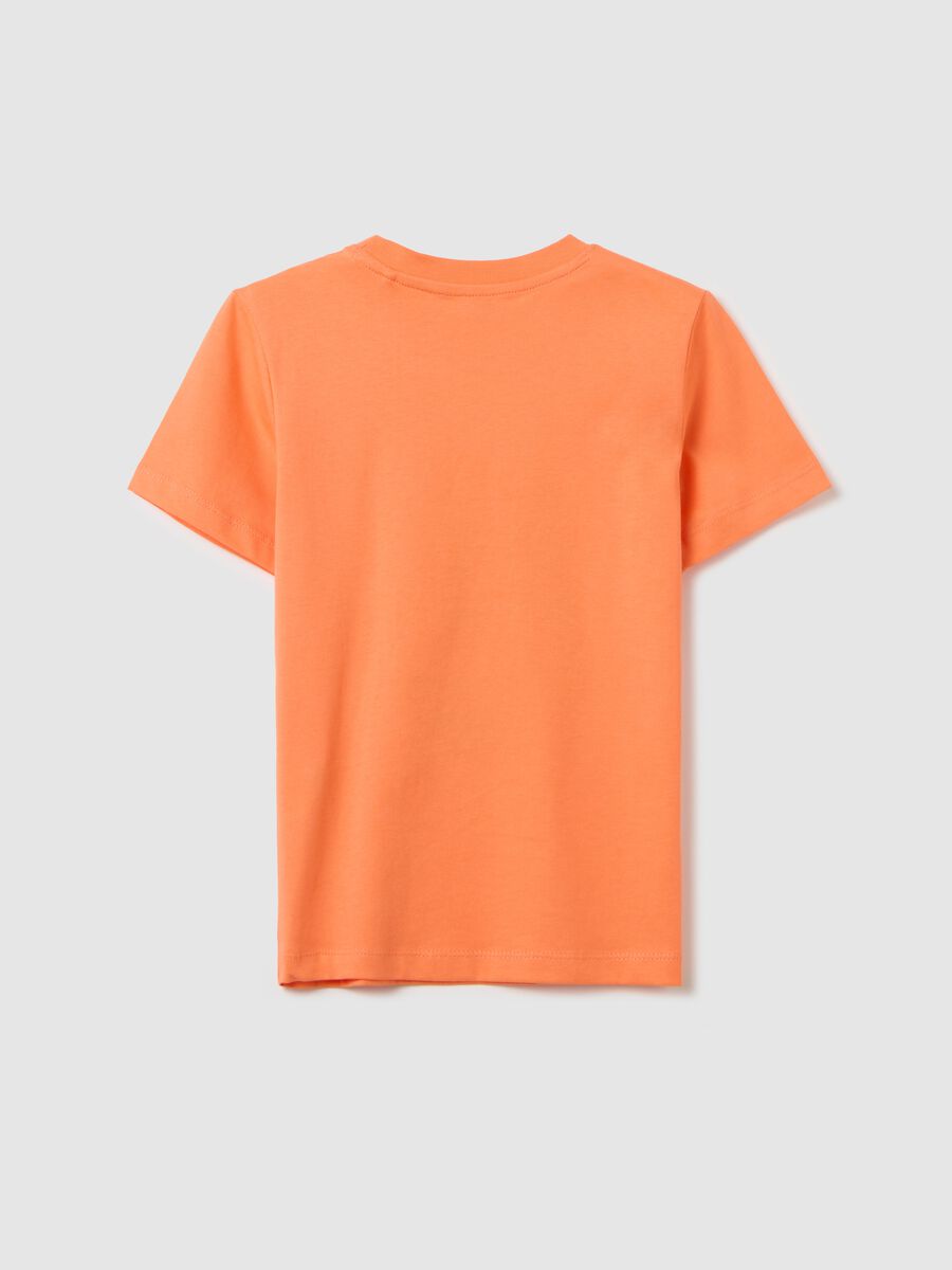 Cotton T-shirt with print_1