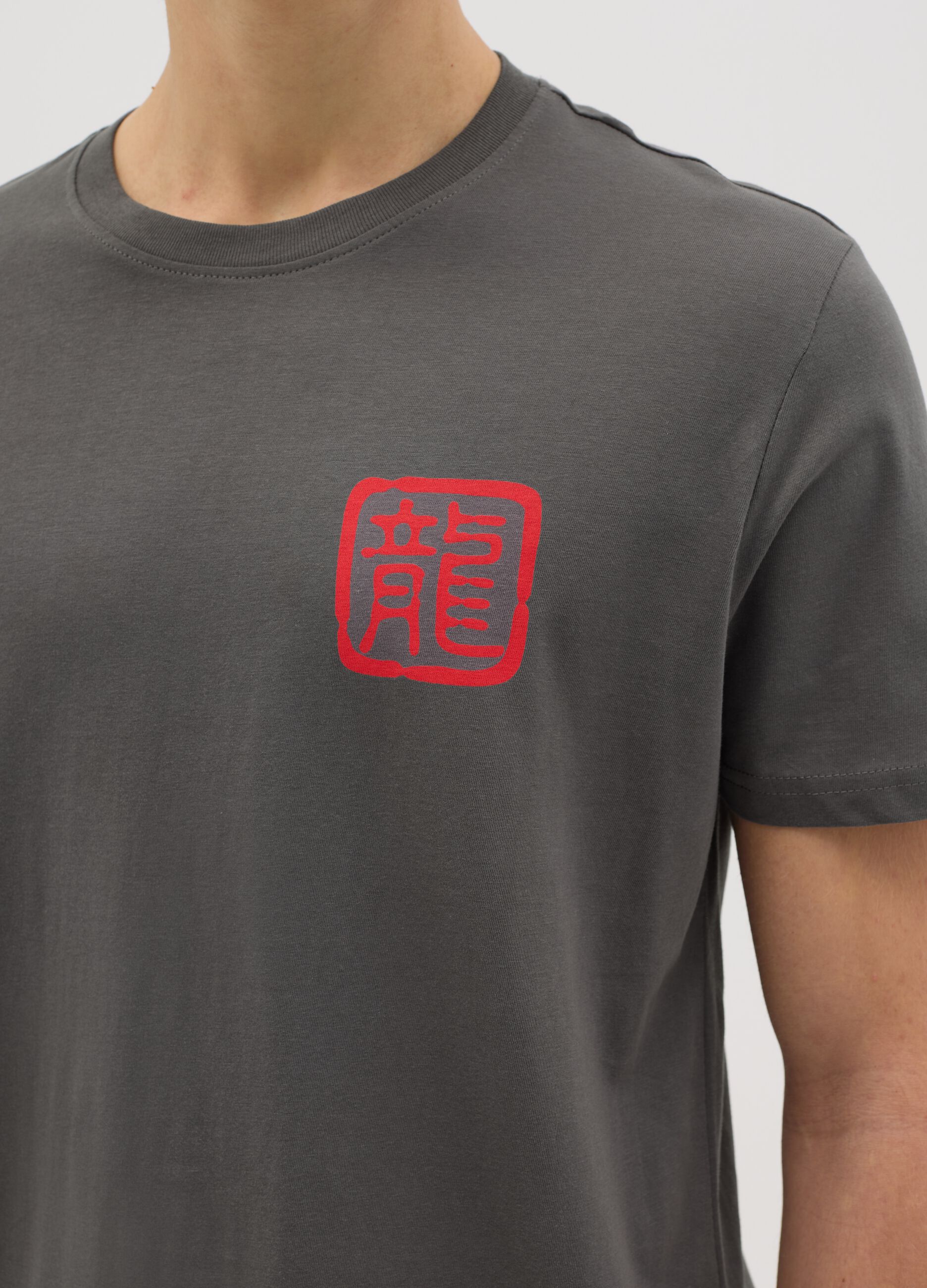 Grey T-shirt with Dragon Ball Z print