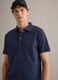 Blue short-sleeve pure cotton polo shirt, regular fit_2