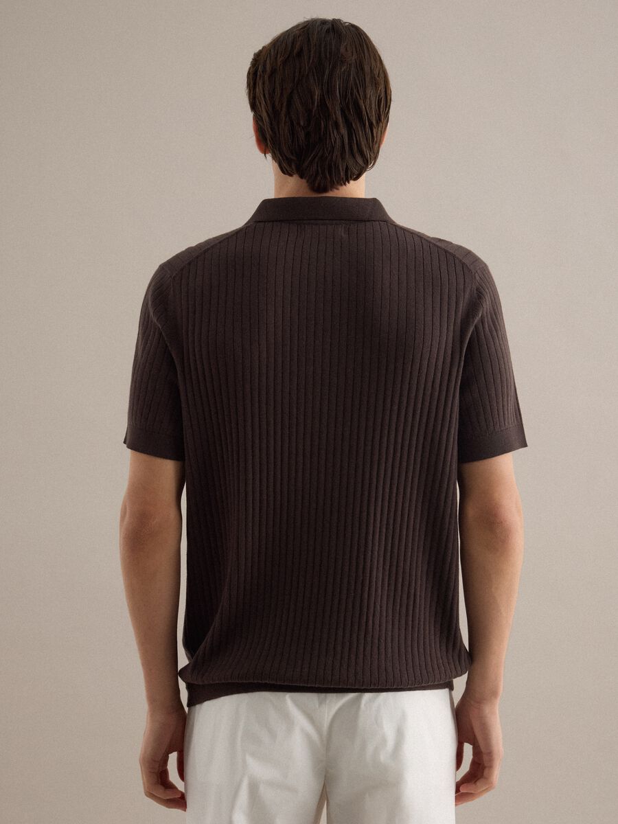 Brown striped short-sleeve pure cotton polo in regular fit_3
