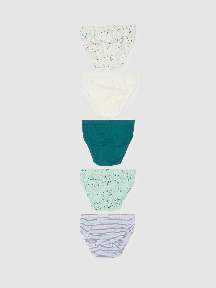 Multipack set of children's multicolour regular fit cotton briefs_1