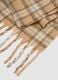 Multicolour Checked Scarf with Fringes_3