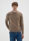 Regular Fit Beige Jumper_1