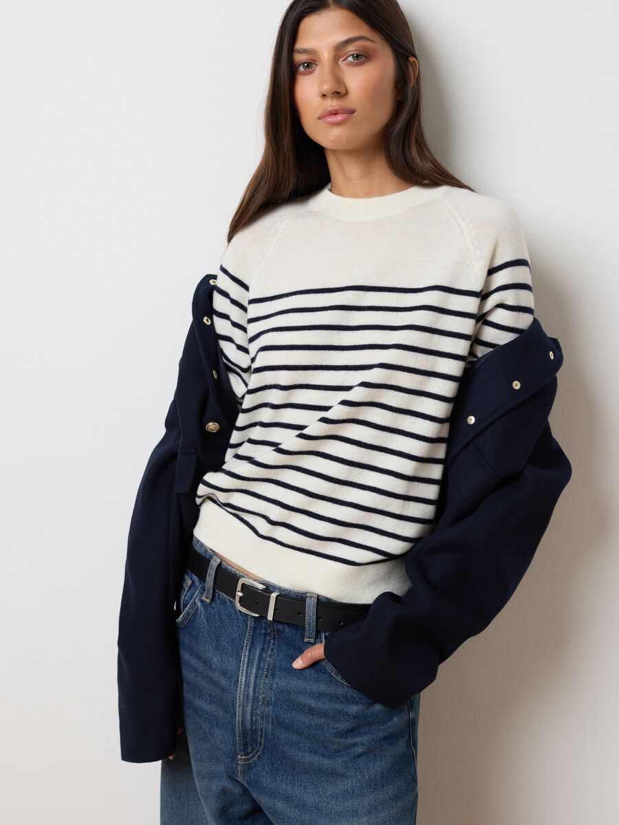 Pure Wool Striped Sweater Regular Fit_0
