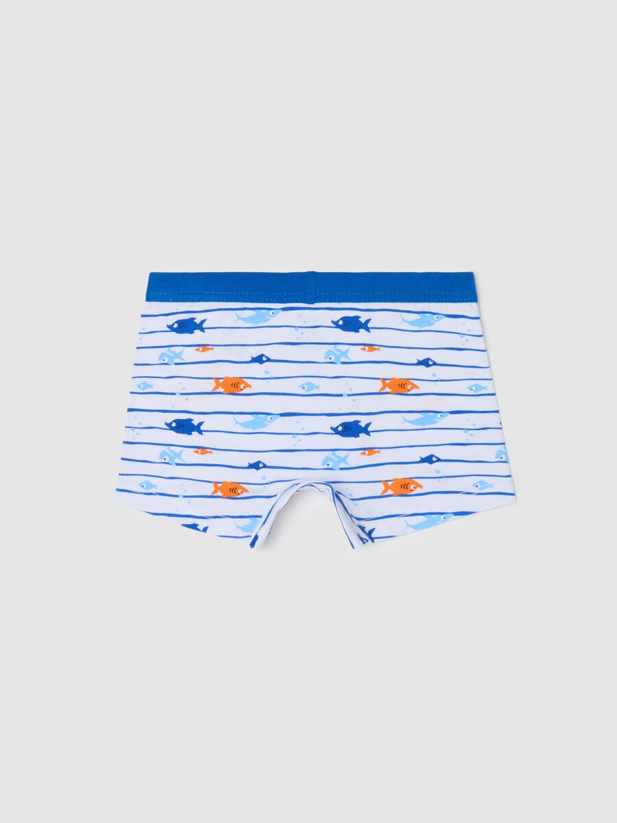 Striped boxer shorts in stretch cotton with fish print_1