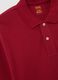 Red regular fit pure cotton polo_5