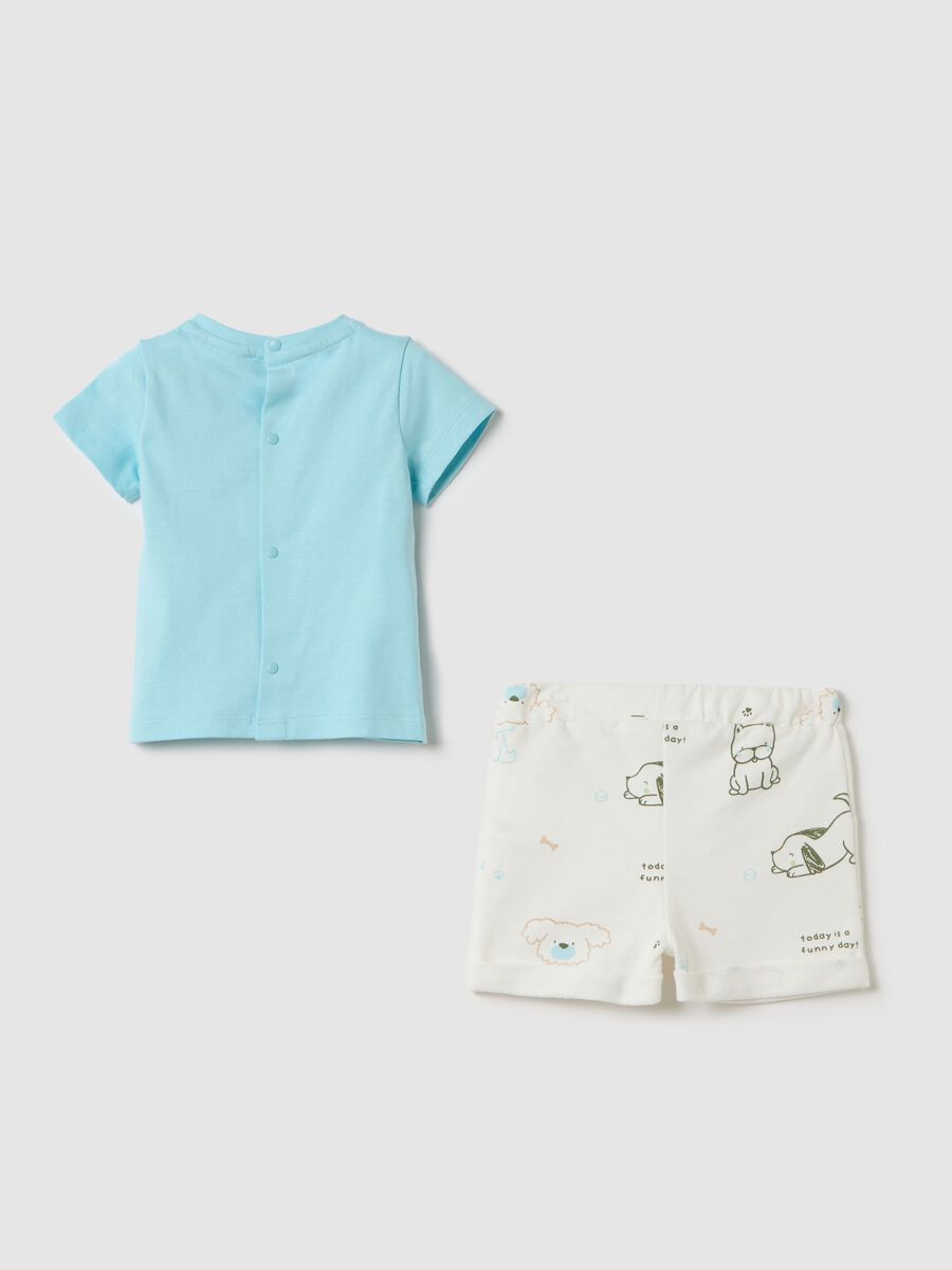 White and light blue set in cotton with bouclé puppy_1